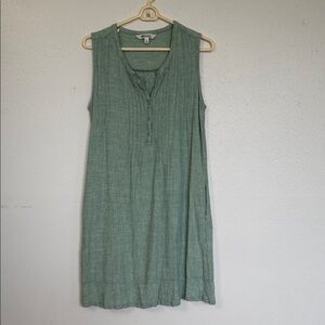 Briggs New York Light Green Linen Dress